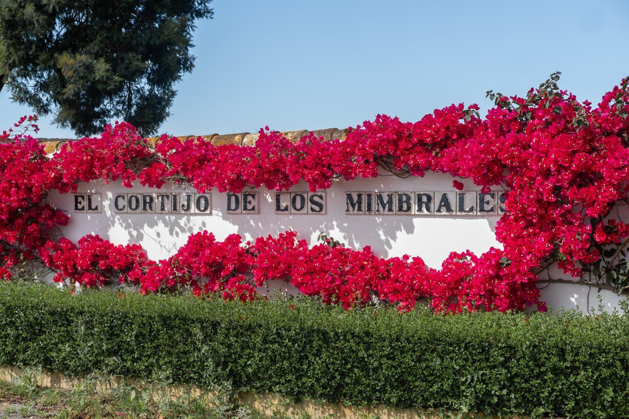 אלמונטה El Cortijo De Los Mimbrales Hotel מראה חיצוני תמונה